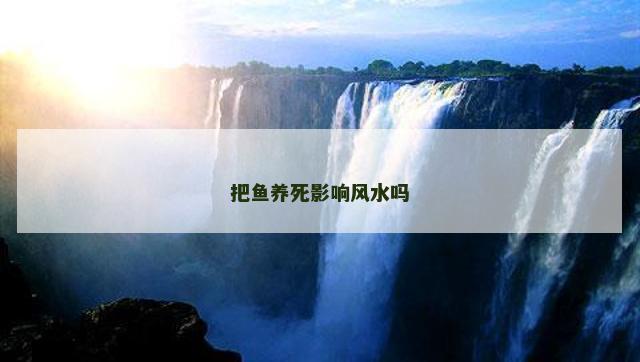 把鱼养死影响风水吗
