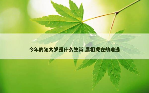 今年的犯太岁是什么生肖 属相虎在劫难逃