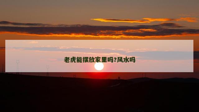 老虎能摆放家里吗?风水吗