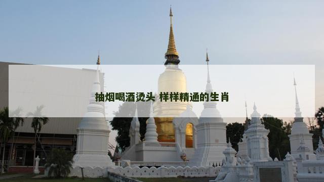 抽烟喝酒烫头 样样精通的生肖
