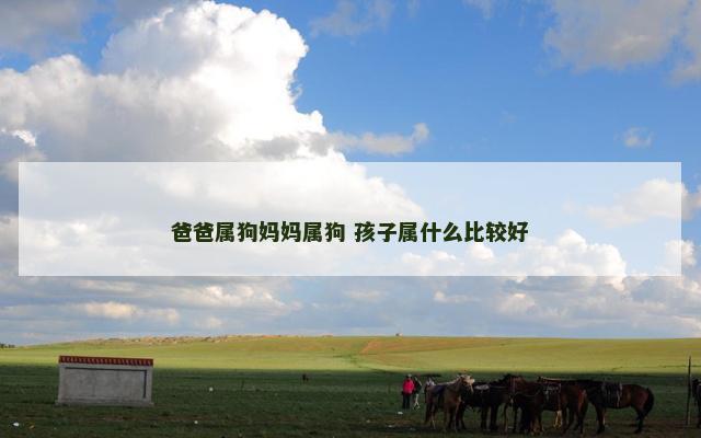 爸爸属狗妈妈属狗 孩子属什么比较好