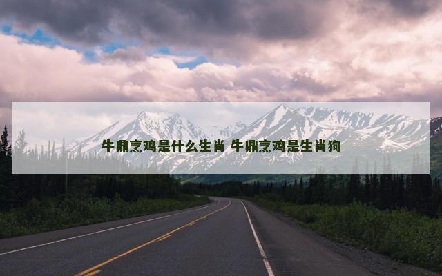 牛鼎烹鸡是什么生肖 牛鼎烹鸡是生肖狗