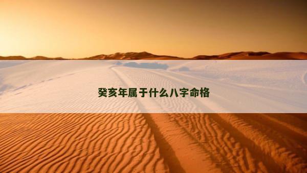 癸亥年属于什么八字命格