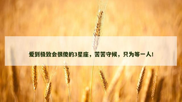 爱到极致会很傻的3星座，苦苦守候，只为等一人！