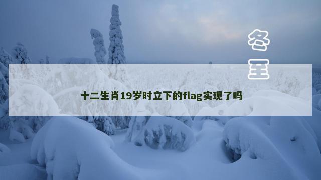 十二生肖19岁时立下的flag实现了吗