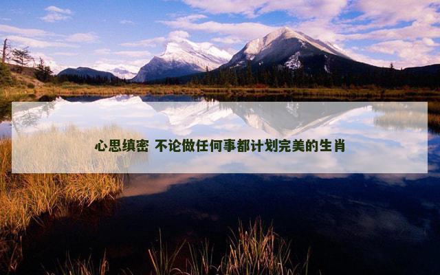 心思缜密 不论做任何事都计划完美的生肖