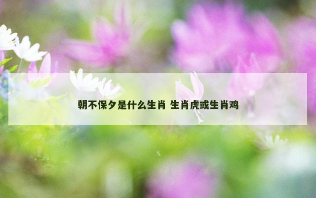朝不保夕是什么生肖 生肖虎或生肖鸡