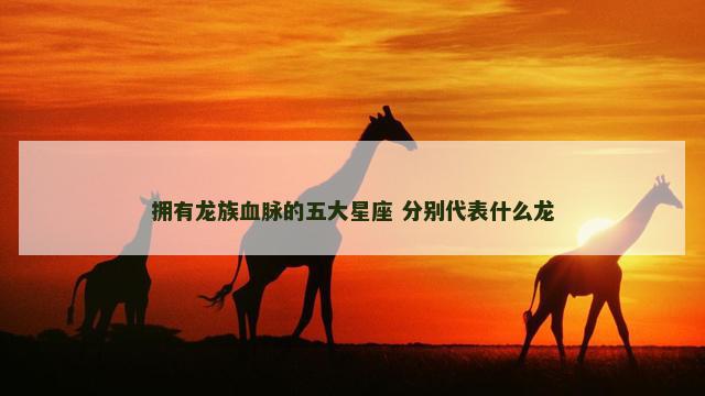 拥有龙族血脉的五大星座 分别代表什么龙