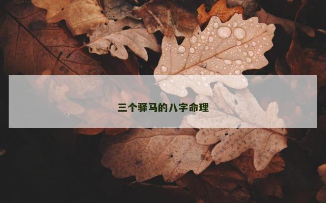 三个驿马的八字命理