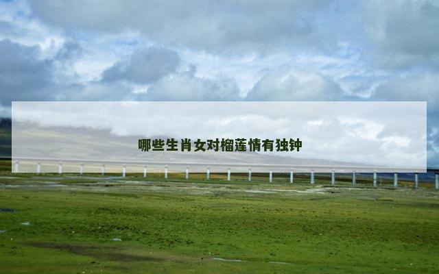 哪些生肖女对榴莲情有独钟