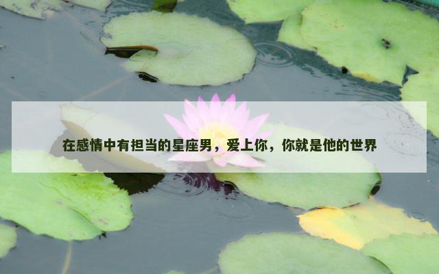 在感情中有担当的星座男，爱上你，你就是他的世界