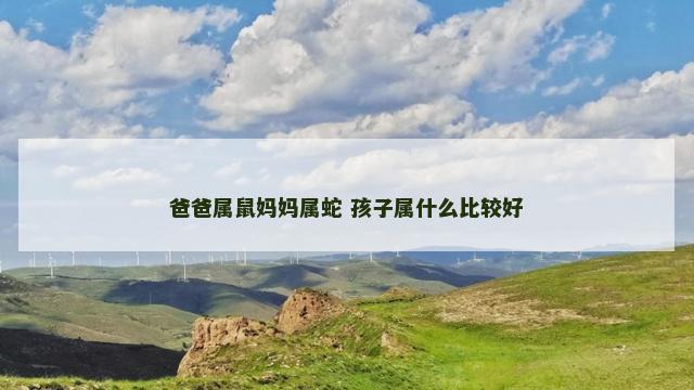爸爸属鼠妈妈属蛇 孩子属什么比较好