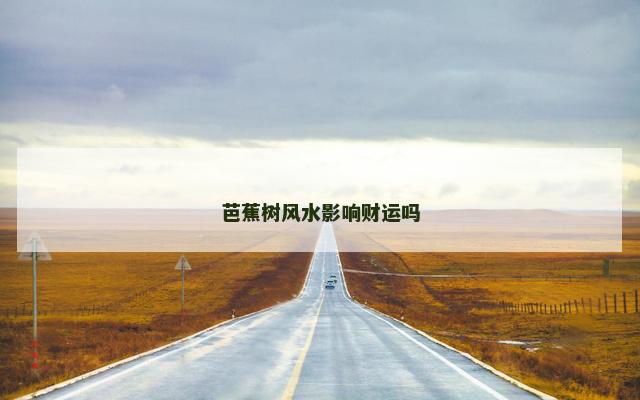 芭蕉树风水影响财运吗