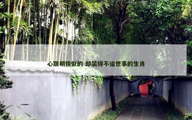 心跟明镜似的 却装得不谙世事的生肖