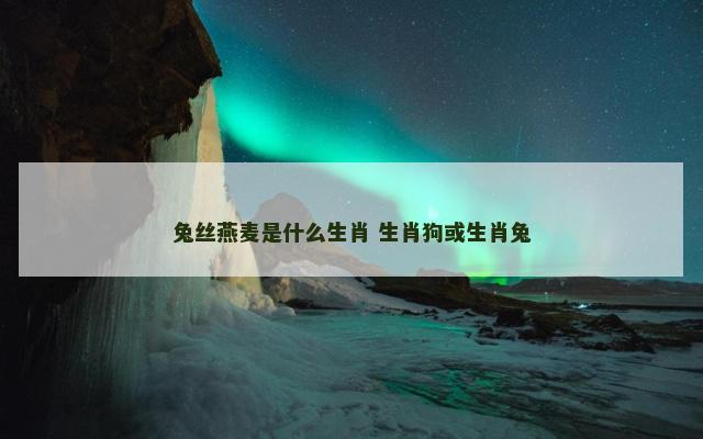 兔丝燕麦是什么生肖 生肖狗或生肖兔