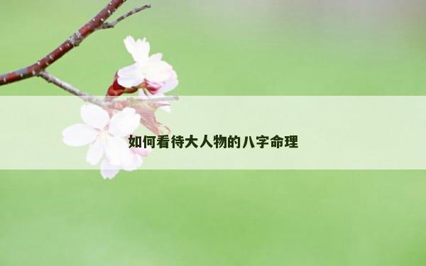 如何看待大人物的八字命理