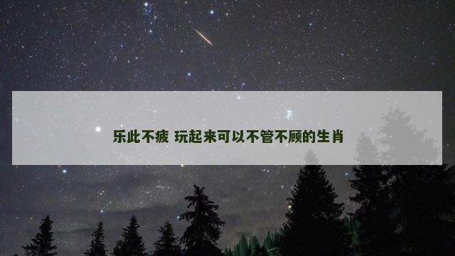 乐此不疲 玩起来可以不管不顾的生肖