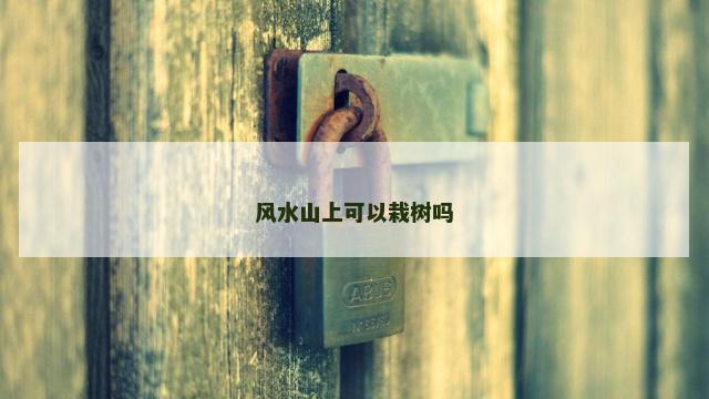 风水山上可以栽树吗