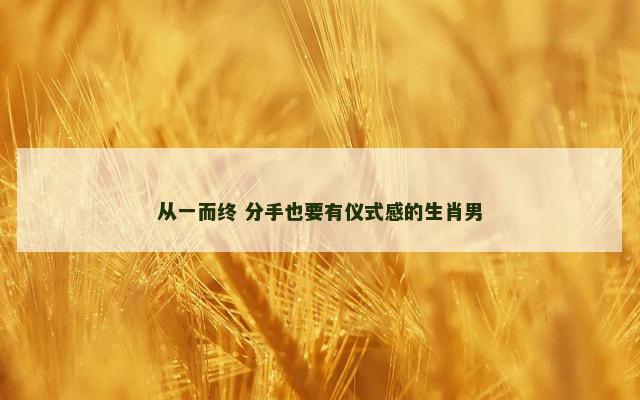 从一而终 分手也要有仪式感的生肖男