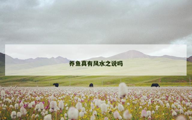 养鱼真有风水之说吗