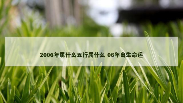 2006年属什么五行属什么 06年出生命运