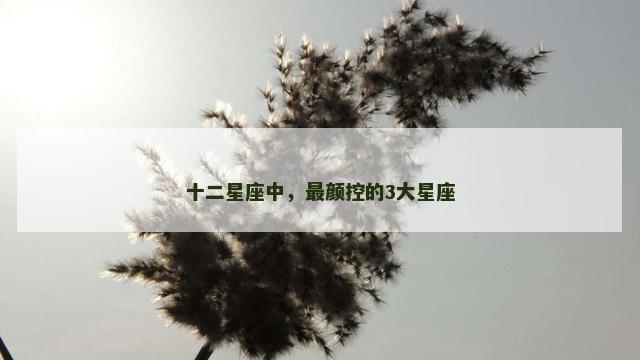 十二星座中，最颜控的3大星座
