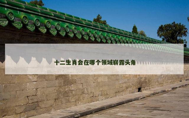 十二生肖会在哪个领域崭露头角