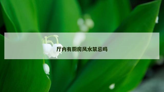 厅内有厨房风水禁忌吗