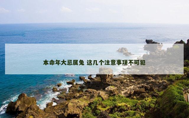本命年大忌属兔 这几个注意事项不可犯