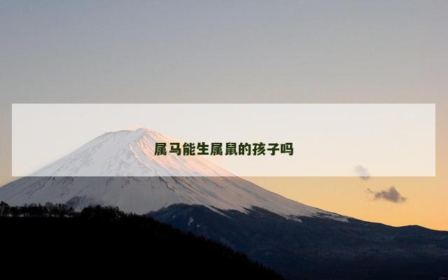 属马能生属鼠的孩子吗