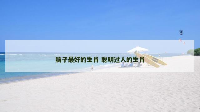 脑子最好的生肖 聪明过人的生肖