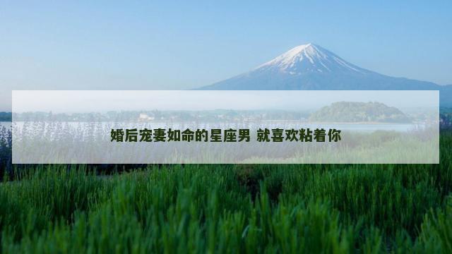 婚后宠妻如命的星座男 就喜欢粘着你