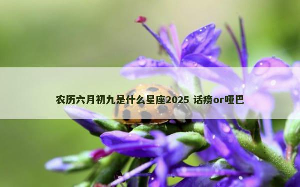 农历六月初九是什么星座2025 话痨or哑巴