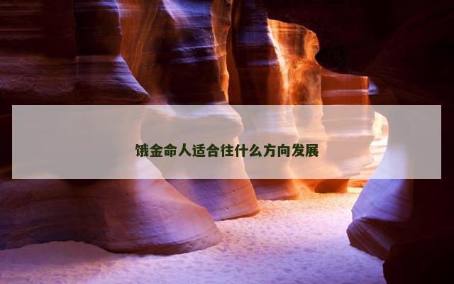 饿金命人适合往什么方向发展