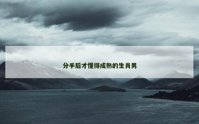分手后才懂得成熟的生肖男