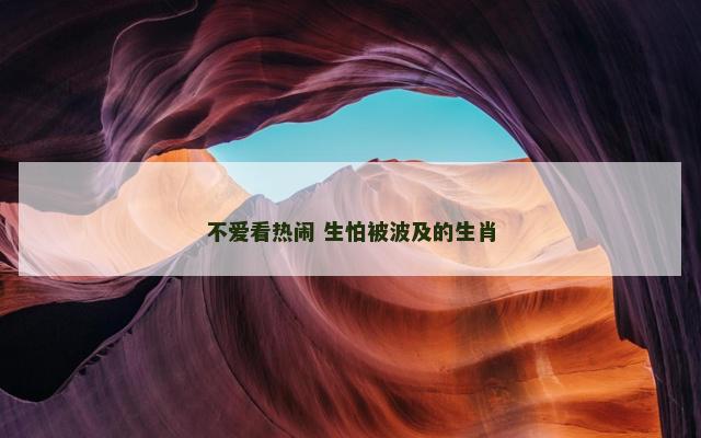 不爱看热闹 生怕被波及的生肖