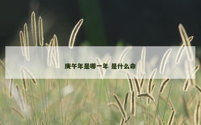 庚午年是哪一年 是什么命