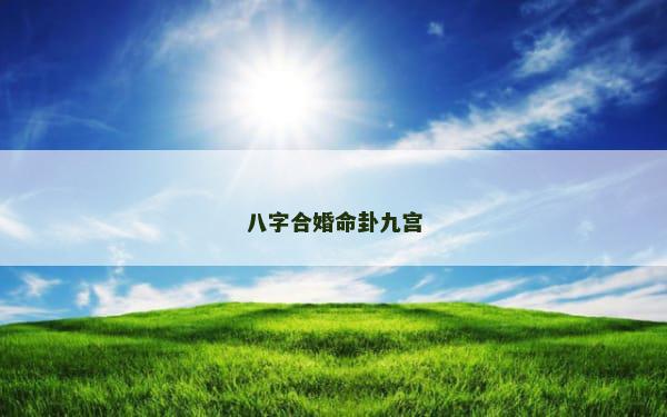 八字合婚命卦九宫