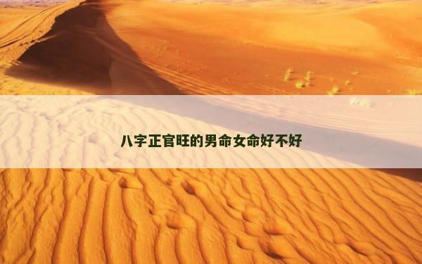 八字正官旺的男命女命好不好