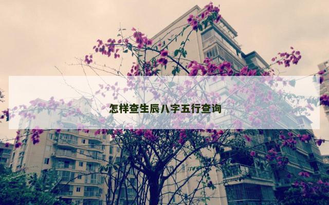 怎样查生辰八字五行查询