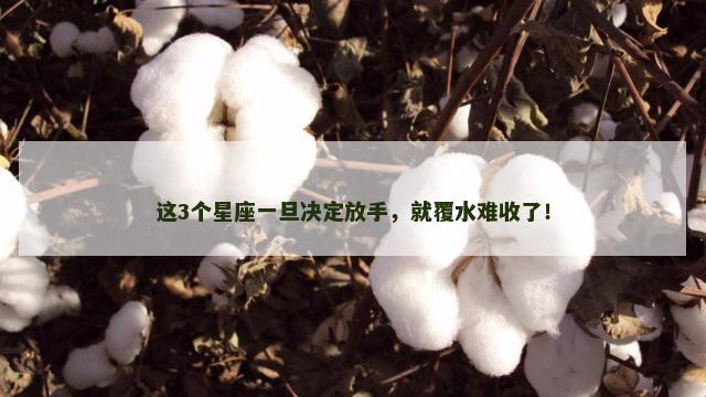 这3个星座一旦决定放手，就覆水难收了！