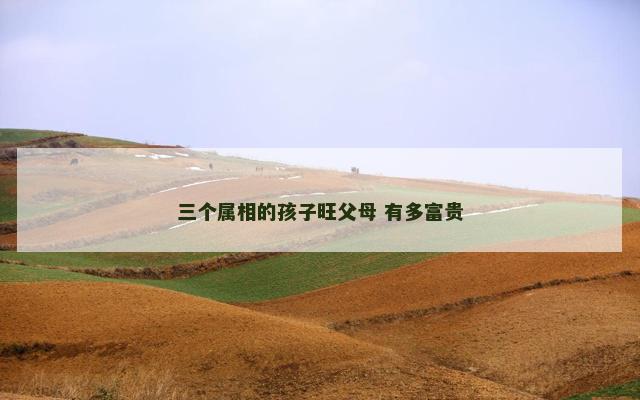 三个属相的孩子旺父母 有多富贵