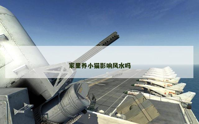 家里养小猫影响风水吗