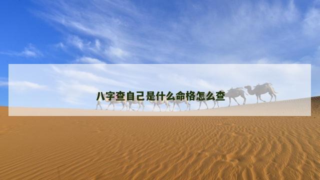 八字查自己是什么命格怎么查