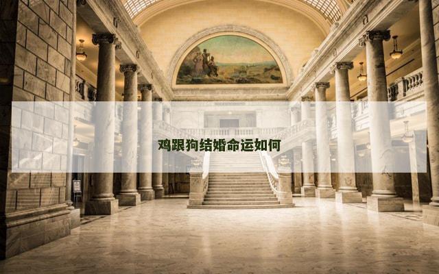 鸡跟狗结婚命运如何