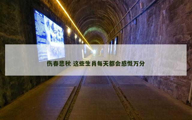 伤春悲秋 这些生肖每天都会感慨万分