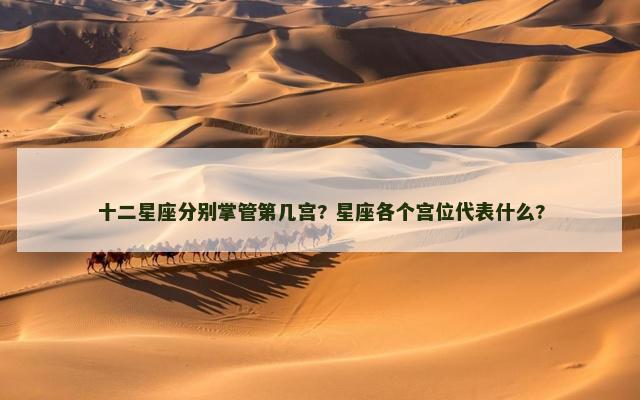 十二星座分别掌管第几宫? 星座各个宫位代表什么?