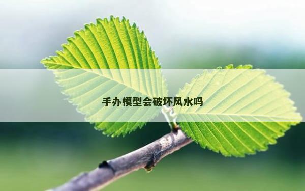 手办模型会破坏风水吗