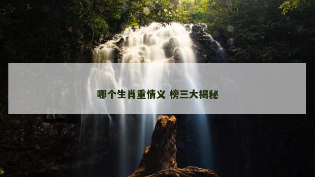 哪个生肖重情义 榜三大揭秘