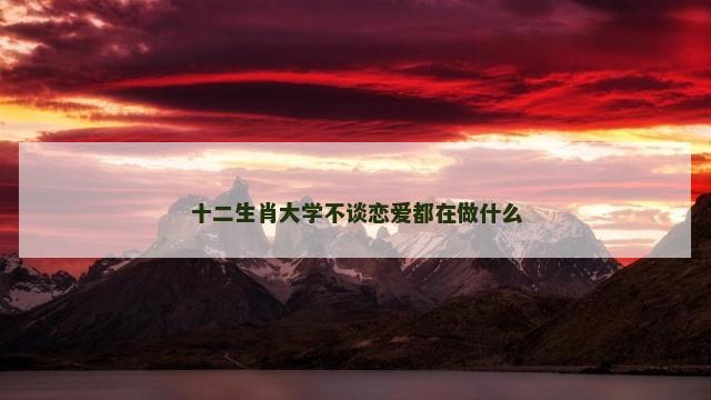 十二生肖大学不谈恋爱都在做什么